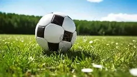 亚博体彩 产品 095419 o13