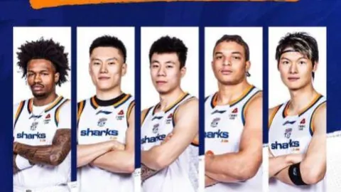 弗赖堡主场实力解析：对阵勒沃库森预测分析